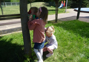Dzieci oglądają przez lupę korę drzew na ogrodzie przedszkolnym.